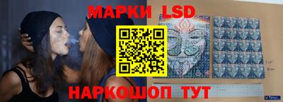 гашик Донецк