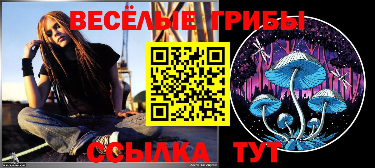 Кимовск  Псилоцибиновые грибы Psilocybine cubensis  дарнет шоп  Вход с VPN 