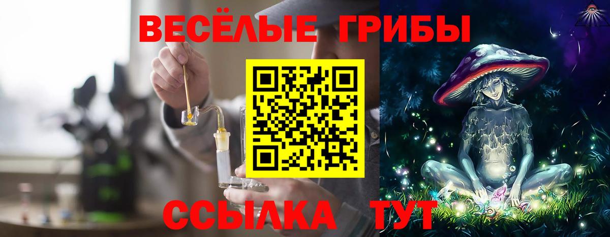 Галлюциногенные грибы мухоморы Кимовск